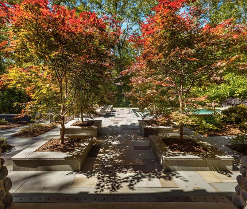 North-Raleigh-5